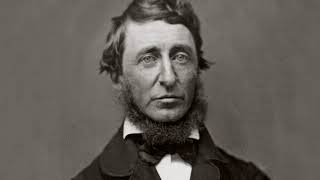 viajes y reinvención