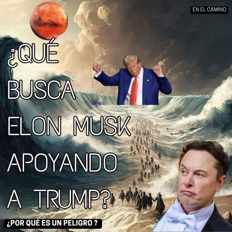 Elon Musk apoyando trump