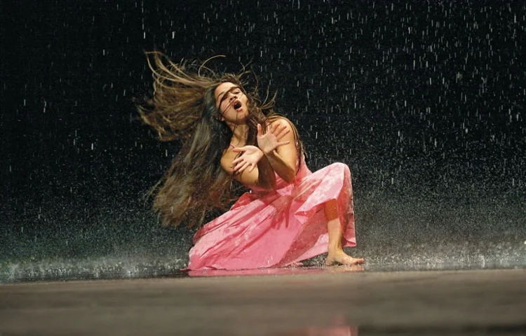 pina bausch teatro danza